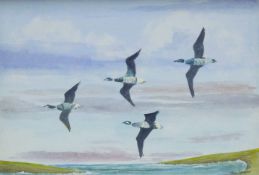JAN SEAMAN (Contemporary) (AR), Brent Geese in Flight, watercolour, signed, framed and glazed.