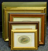 Nine prints of birds, all framed and glazed. The largest 32 x 39 cm overall.