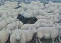 PATRICK OXENHAM (1922-1996) (AR), 'Black Sheep', a limited edition print, numbered 208/850,