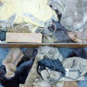 A box of vintage furs from the estate of an East Anglian furrier and taxidermist.