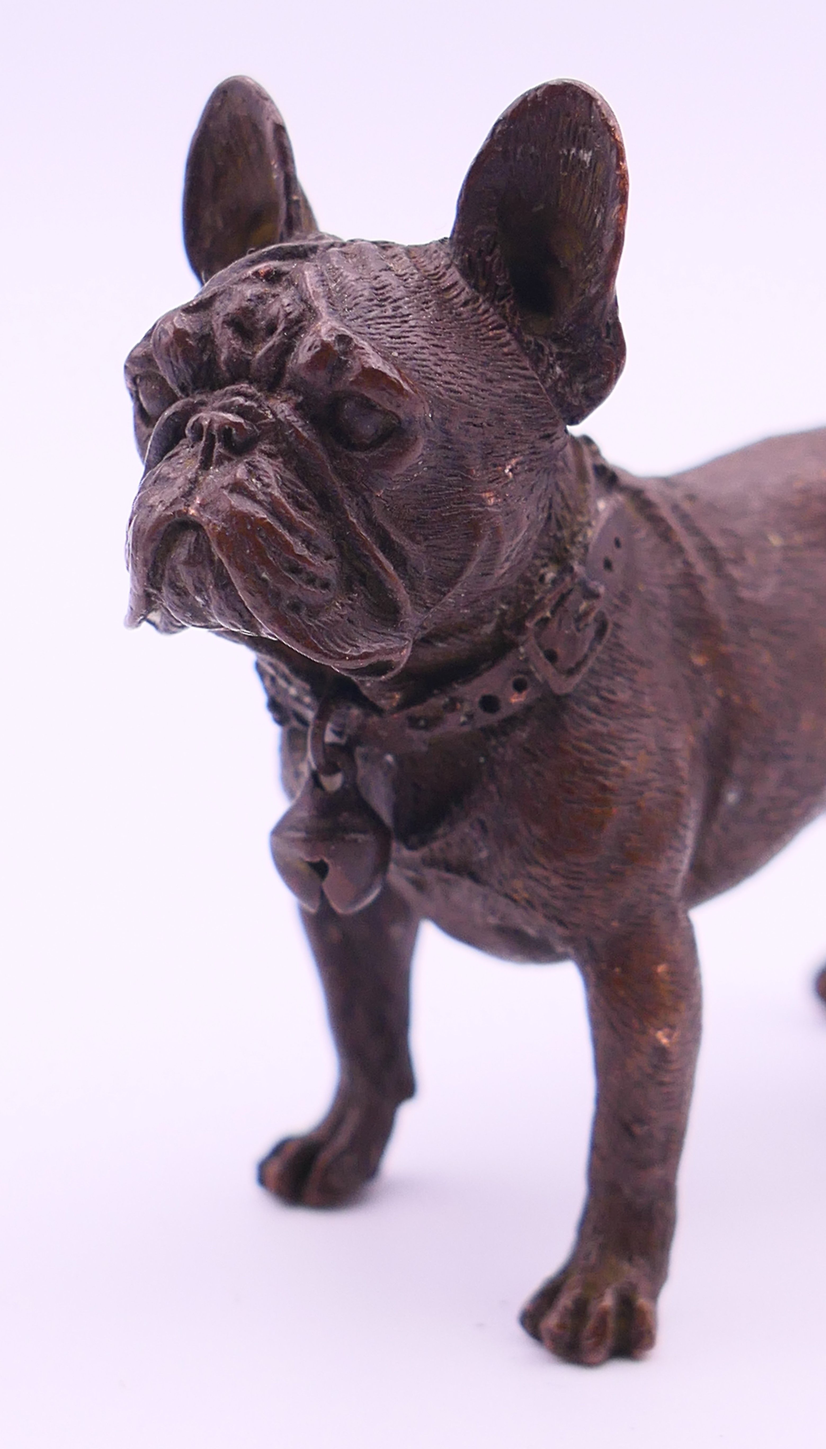 A bronze of a French bulldog. 7 cm long. - Image 2 of 5