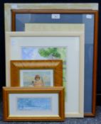 A quantity of various pictures and prints, each framed. The largest 55.5 x 45 cm.