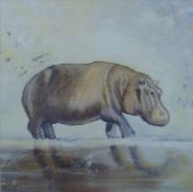R CHURCHILL, Hippo, print, framed and glazed. 33 x 33 cm.