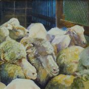 ANGELA BOULD (20th/21st century) British, Sheep III, acrylic on board, framed. 25.5 x 25.5 cm.