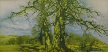 DAVID SHEPHERD, Bright Intervals, print, framed. 50 x 101 cm.