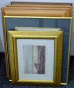 Five various prints of birds, all framed and glazed. The smallest 28.5 x 33 cm overall.