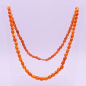An amber bead necklace. 70 cm long, central bead 0.9 x 0.7 cm. 23.2 grammes total weight.
