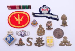 A quantity of various military metal and cloth badges, other badges and an 1896 one penny coin.