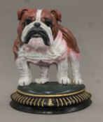 A cast iron bulldog doorstop. 28.5 cm high.
