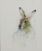 CHAD STASE, Hare, print and D. WALKER, Hare, pastel, both framed and glazed. The former 26 x 21 cm.