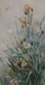Irises, watercolour, signed B Caverol and dated 1891, framed and glazed. 73.5 x 38.5 cm.