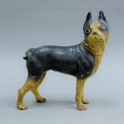 An painted cast iron Boston terrier doorstop. 20 cm long.
