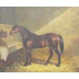BRITISH SCHOOL (20th century), Horse in a Stable, oil on canvas, framed. 50 x 60 cm.