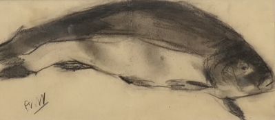 A charcoal picture of a Fish, indistinctly initialled P.V.W, framed and glazed. 14 x 31 cm.