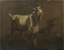 19TH CENTURY SCHOOL, Goats, oil on canvas. 24 x 31 cm.