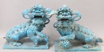 A large pair of Chinese turquoise-glazed terracotta dogs-of-fo. Each 49 cm high.