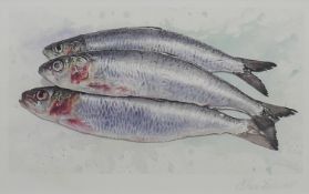 Three Fish, artist's proof, indistinctly signed, framed and glazed. 25 x 40 cm.