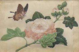 A 19th century Chinese painting on rice paper of a Flower and Butterfly, framed and glazed. 8.