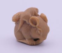 A tagua nut netsuke formed as rats. 2.5 cm high.