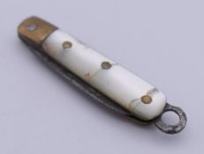 A miniature mother-of-pearl penknife. 3 cm long closed.