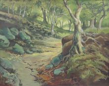 TOM HINKS, Forest Scene, oil on board, signed, framed. 60 x 74.5 cm.