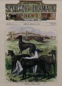 The Illustrated Sporting & Dramatic News Portraits of the Waterloo Cup Winners, print, mounted.