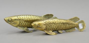 Two brass models of arapaima. The larger 27 cm long.