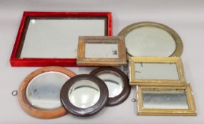 A quantity of various mirrors. The largest 53 x 38.5 cm.