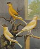 A pair of Cassell's prints, 'Canaries' and 'Cage Bird', each framed and glazed. The largest 43 x 35.