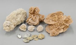 A quantity of mineral specimens. The largest 14 cm high.