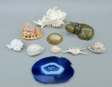 A small quantity of various shells, mineral specimens and a stone model of a hippo.