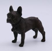 A bronze model of a French bulldog. 7 cm long.