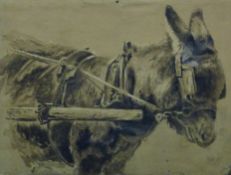 Q ELERS, 'Donkey in Harness', watercolour, signed and dated 1907, framed and glazed,
