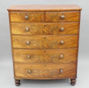 A Victorian mahogany six-drawer bow front chest of drawers. 108 cm wide x 132 cm high.