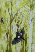 ANN BRIGGS, Woodpeckers, watercolour, signed, framed and glazed. 33 x 23 cm.