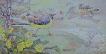 ENNION, ERIC (1900-1981) British (AR), Yellow Wagtail, limited edition print numbered 307/500,