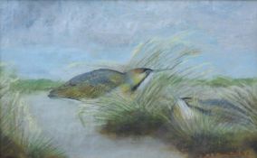 QUANTRILL, DAVID (Contemporary) British (AR) Pair of Bitterns, pastel, indistinctly signed,