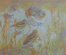 ENNION, ERIC (1900-1981) British (AR), Snipe, print, limited edition numbered 489/500, signed,