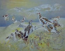 ENNION, ERIC (1900-1981) British (AR), Ptarmigan, print, limited edition numbered 224/500, signed,