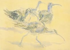 ATKINSON, KIM (born 1962) British (AR), Whimbrel, pencil and watercolour, signed and dated 88,