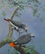 TALBOT KELLY, CHLOE ELIZABETH (1927-2023) British (AR), Pair of African Grey Parrots, print,