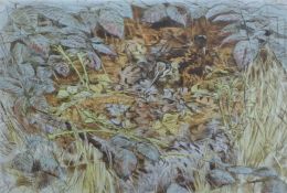 PARTINGTON SWLA, PETER (born 1941) British (AR), Woodcock in Brambles,