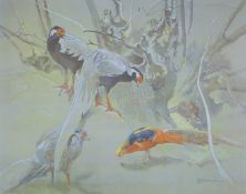 ENNION, ERIC (1900-1981) British (AR), Golden Pheasants, limited edition print, numbered 104/250,