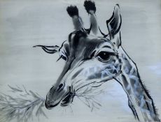 THOMPSON, RALPH (1913-2009) British (AR), Giraffe Baby, ink and gouache, signed, unframed.