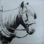 SOPER, GEORGE (1870-1942) British (AR), Daisy, circa 1918, drypoint etching, unframed. 13.5 x 13.