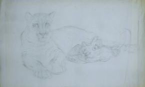 THOMPSON, RALPH (1913-2009) British (AR), Leopard and Sleeping Cubs, pencil, unsigned, unframed.