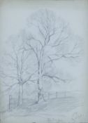 MILNE FRSA FRIBA, OSWALD PARTRIDGE (1881-1968) (AR), Elm Trees, Bury, pencil,