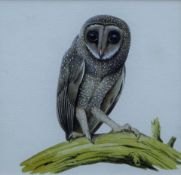 BOYER, TREVOR (born 1948) British (AR), Sooty Owl, Watercolours, a label to the reverse,