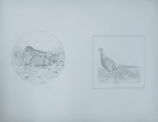MACKAY, ALEX (AR), Two Bird Studies (1976): Pheasant and Woodcock, stippled print,