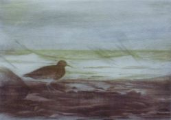 HATCH RWS, FRANCIS, (Littleport) British (AR), Purple Sandpiper II, an artist's proof print,